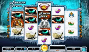 dolphin treasure mobile image